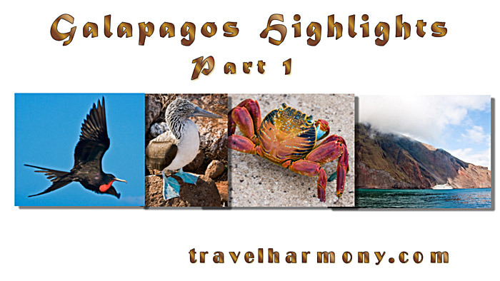 Galapagos Highlights - Part 1
